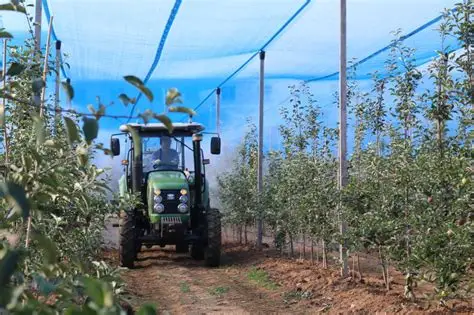 苹果视频-苹果种植技术